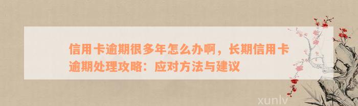 信用卡逾期很多年怎么办啊，长期信用卡逾期处理攻略：应对方法与建议