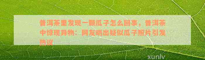 普洱茶里发现一颗瓜子怎么回事，普洱茶中惊现异物：网友晒出疑似瓜子照片引发热议