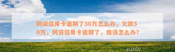 网贷信用卡逾期了30万怎么办，欠款30万，网贷信用卡逾期了，我该怎么办？