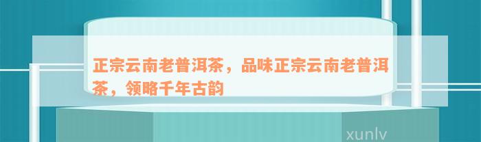 正宗云南老普洱茶，品味正宗云南老普洱茶，领略千年古韵