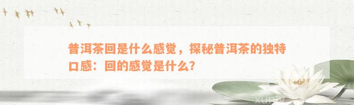 普洱茶回是什么感觉，探秘普洱茶的独特口感：回的感觉是什么？