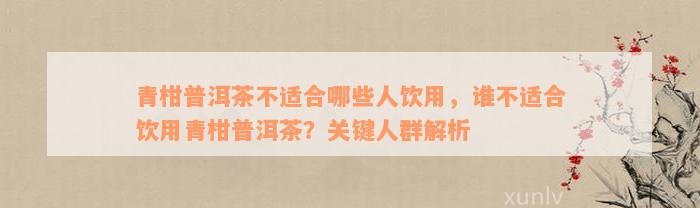 青柑普洱茶不适合哪些人饮用，谁不适合饮用青柑普洱茶？关键人群解析