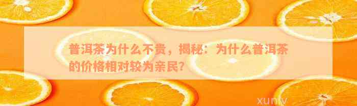 普洱茶为什么不贵，揭秘：为什么普洱茶的价格相对较为亲民？