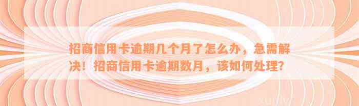 招商信用卡逾期几个月了怎么办，急需解决！招商信用卡逾期数月，该如何处理？