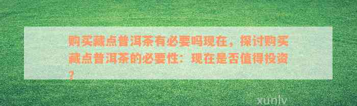 购买藏点普洱茶有必要吗现在，探讨购买藏点普洱茶的必要性：现在是否值得投资？