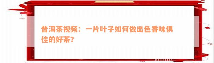 普洱茶视频：一片叶子如何做出色香味俱佳的好茶？