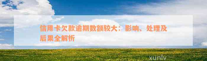 信用卡欠款逾期数额较大：影响、处理及后果全解析