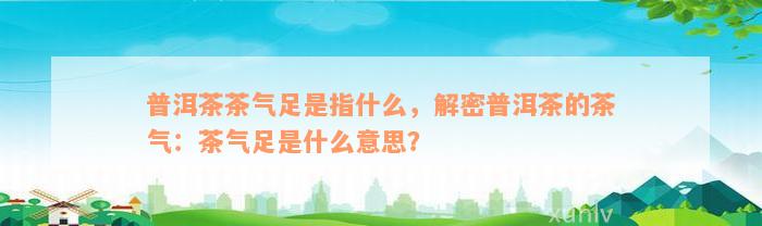 普洱茶茶气足是指什么，解密普洱茶的茶气：茶气足是什么意思？