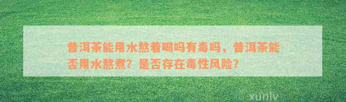 普洱茶能用水熬着喝吗有毒吗，普洱茶能否用水熬煮？是否存在毒性风险？