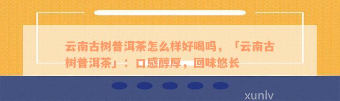 云南古树普洱茶怎么样好喝吗，「云南古树普洱茶」：口感醇厚，回味悠长