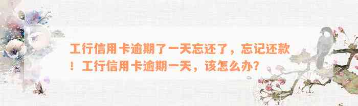 工行信用卡逾期了一天忘还了，忘记还款！工行信用卡逾期一天，该怎么办？