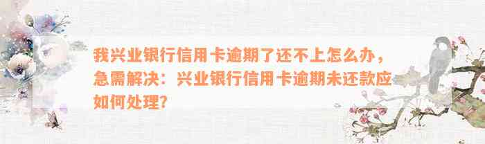 我兴业银行信用卡逾期了还不上怎么办，急需解决：兴业银行信用卡逾期未还款应如何处理？