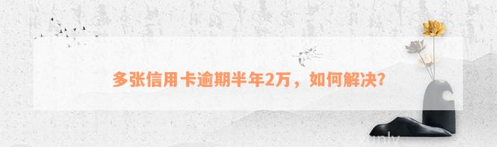 多张信用卡逾期半年2万，如何解决？