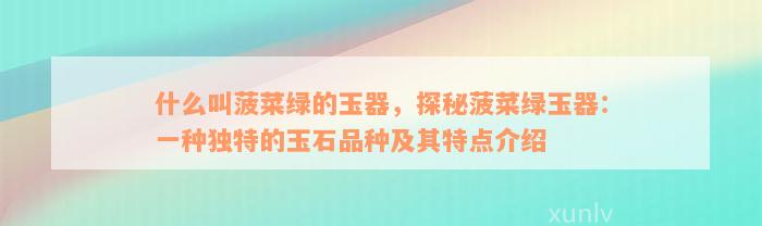 什么叫菠菜绿的玉器，探秘菠菜绿玉器：一种独特的玉石品种及其特点介绍