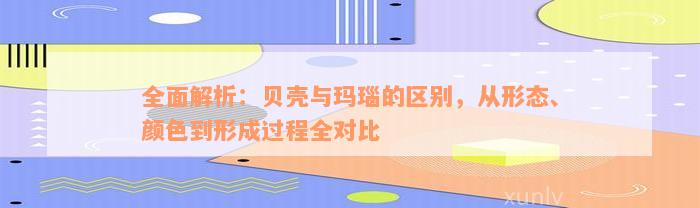 全面解析：贝壳与玛瑙的区别，从形态、颜色到形成过程全对比