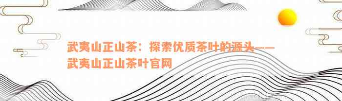 武夷山正山茶：探索优质茶叶的源头——武夷山正山茶叶官网