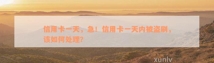 信用卡一天，急！信用卡一天内被盗刷，该如何处理？