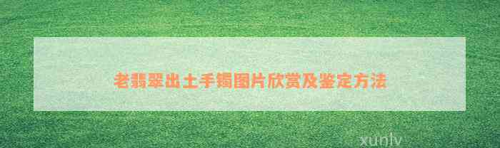 老翡翠出土手镯图片欣赏及鉴定方法