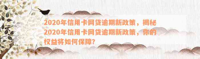 2020年信用卡网贷逾期新政策，揭秘2020年信用卡网贷逾期新政策，你的权益将如何保障？