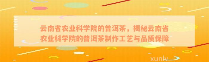 云南省农业科学院的普洱茶，揭秘云南省农业科学院的普洱茶制作工艺与品质保障