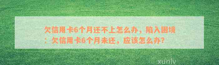 欠信用卡6个月还不上怎么办，陷入困境：欠信用卡6个月未还，应该怎么办？