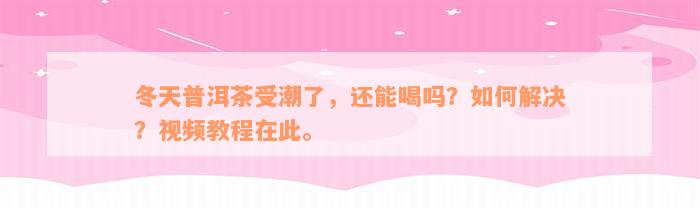 冬天普洱茶受潮了，还能喝吗？如何解决？视频教程在此。