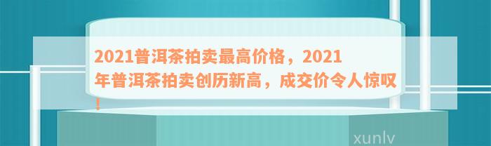 2021普洱茶拍卖最高价格，2021年普洱茶拍卖创历新高，成交价令人惊叹！