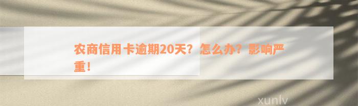 农商信用卡逾期20天？怎么办？影响严重！