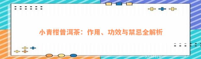 小青柑普洱茶：作用、功效与禁忌全解析