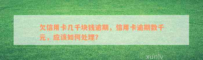 欠信用卡几千块钱逾期，信用卡逾期数千元，应该如何处理？