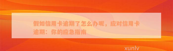 假如信用卡逾期了怎么办呢，应对信用卡逾期：你的应急指南