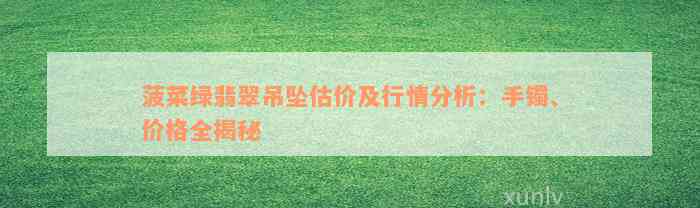 菠菜绿翡翠吊坠估价及行情分析：手镯、价格全揭秘