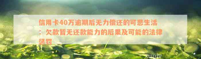 信用卡40万逾期后无力偿还的可悲生活：欠款暂无还款能力的后果及可能的法律惩罚