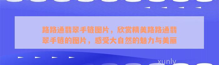 路路通翡翠手链图片，欣赏精美路路通翡翠手链的图片，感受大自然的魅力与美丽