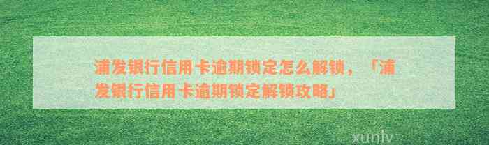 浦发银行信用卡逾期锁定怎么解锁，「浦发银行信用卡逾期锁定解锁攻略」