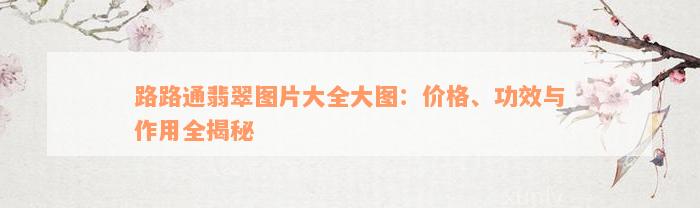 路路通翡翠图片大全大图：价格、功效与作用全揭秘