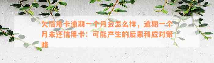 欠信用卡逾期一个月会怎么样，逾期一个月未还信用卡：可能产生的后果和应对策略