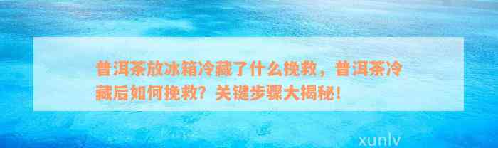 普洱茶放冰箱冷藏了什么挽救，普洱茶冷藏后如何挽救？关键步骤大揭秘！