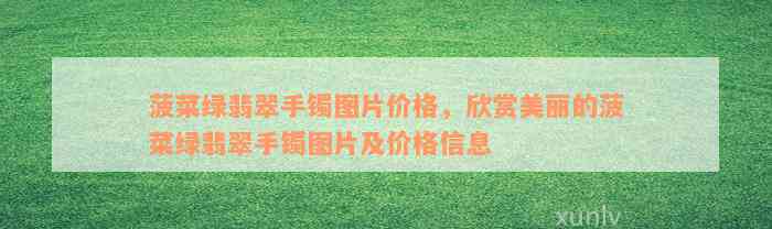 菠菜绿翡翠手镯图片价格，欣赏美丽的菠菜绿翡翠手镯图片及价格信息