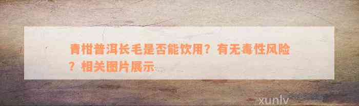 青柑普洱长毛是否能饮用？有无毒性风险？相关图片展示