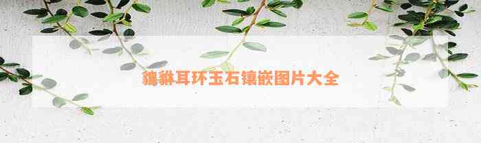 貔貅耳环玉石镶嵌图片大全