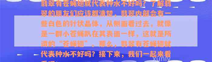 翡翠有苍蝇翅就代表种水不好吗？了解翡翠的朋友们应该都清楚，翡翠内部会有一些白色的针状晶体，从侧面看过去，就像是一群小苍蝇趴在其表面一样，这就是所谓的“苍蝇翅”。那么，翡翠有苍蝇翅就代表种水不好吗？接下来，我们一起来看看吧！