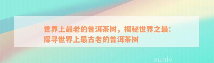 世界上最老的普洱茶树，揭秘世界之最：探寻世界上最古老的普洱茶树