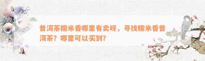 普洱茶糯米香哪里有卖呀，寻找糯米香普洱茶？哪里可以买到？