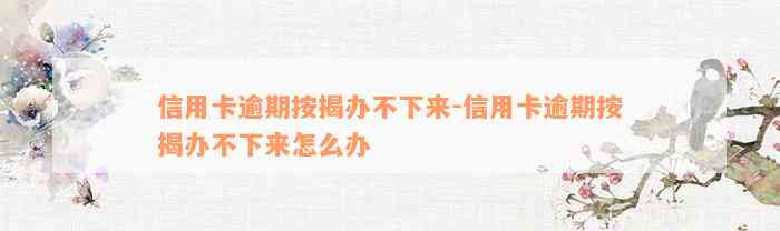 信用卡逾期按揭办不下来-信用卡逾期按揭办不下来怎么办