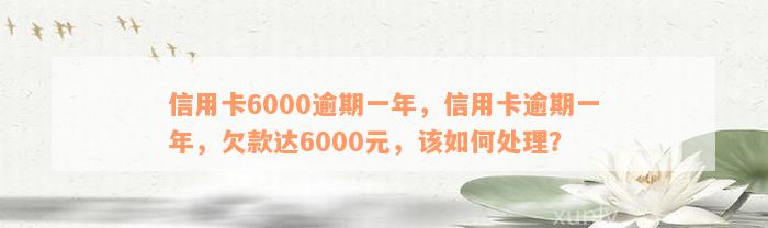 信用卡6000逾期一年，信用卡逾期一年，欠款达6000元，该如何处理？