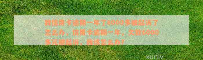 我信用卡逾期一年了6000多被起诉了怎么办，信用卡逾期一年，欠款6000多元被起诉，我该怎么办？