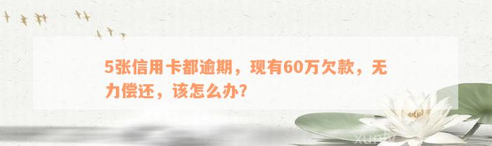 5张信用卡都逾期，现有60万欠款，无力偿还，该怎么办？