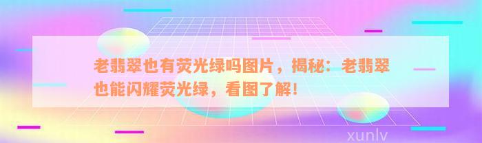 老翡翠也有荧光绿吗图片，揭秘：老翡翠也能闪耀荧光绿，看图了解！