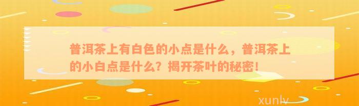 普洱茶上有白色的小点是什么，普洱茶上的小白点是什么？揭开茶叶的秘密！